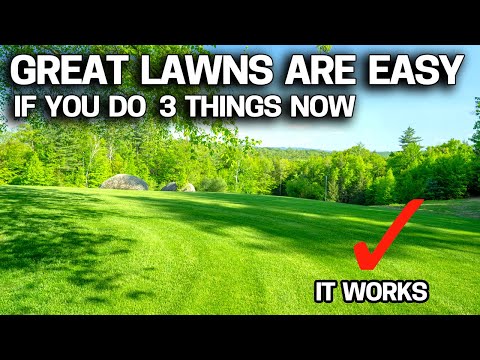 Lawn Companies Hate Me for Sharing This - Lazy Person's Lawn Guide