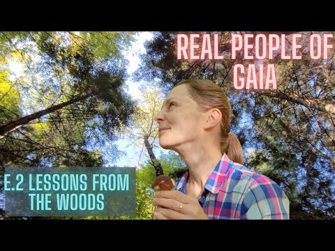 Real People of Gaia: Wild mushroom picking in Poland