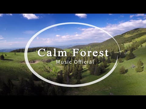 Calm Forest - Relaxing Piano (Music Official)