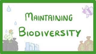 GCSE Biology - Maintaining Biodiversity