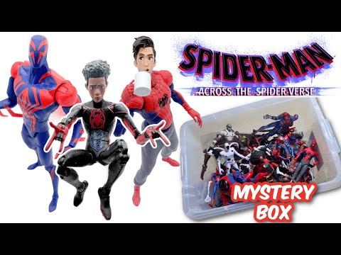 ACROSS THE SPIDER-VERSE Mystery Box!  Best Spidey Movie EVER!?!?!