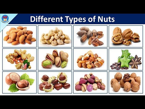 Different types of nuts | Types of Nuts | Nuts Vocabulary in English | 50 - Types Of Nuts | Nuts