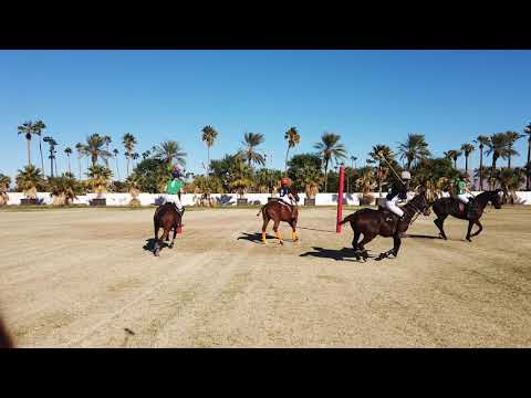 EquineView  - Polo reel