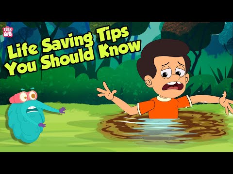 Life Saving Tips Everyone Should Know | 6 Survival Scenarios | Basic Survival Tips | Dr. Binocs Show