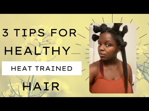 3 Changes For Healthy Heat Trained Hair That Reverts Every Time