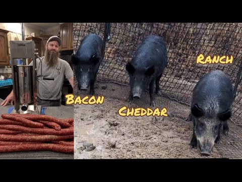 Trapping WILD Pigs & HOW TO Make Homemade Smoked Sausage, NEW SURPRISE RECIPE! (CATCH*COOK)