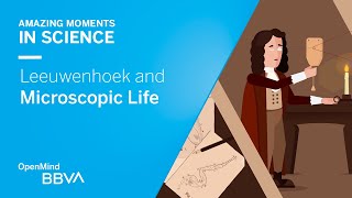 Leeuwenhoek and Microscopic Life | AMS OpenMind