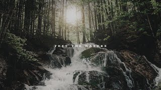 NATURE TAPS (WHEN WE FEEL YOUNG)||SOULFULLTRACK||GLYMBR