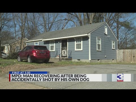 Man claims he was shot by his dog while lying in bed