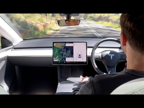 Driving through the Forest on Tesla's Autopilot