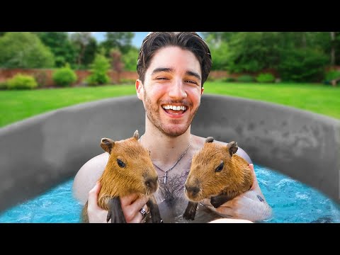 I spent a day with CAPYBARAS