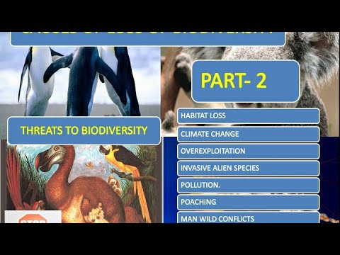 biodiversity; causes of biodiversity Loss