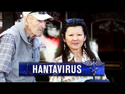 What Is Hantavirus?