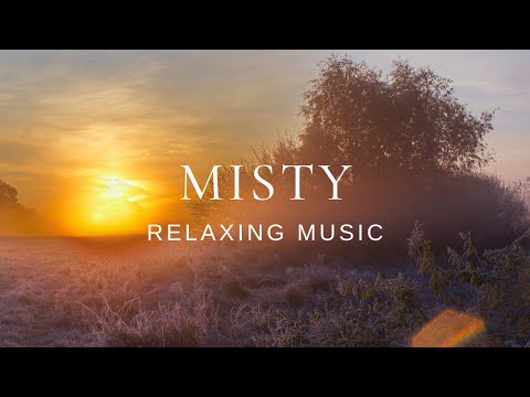 Peaceful Relaxing Guitar | Work Study Read Focus | Misty Morning