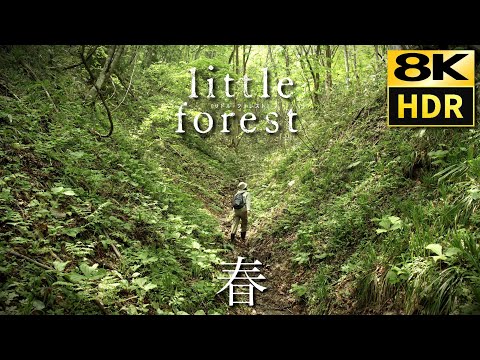 Little Forest - Spring (2015)  "FLOWER FLOWER" 8K HDR & HQ Sound