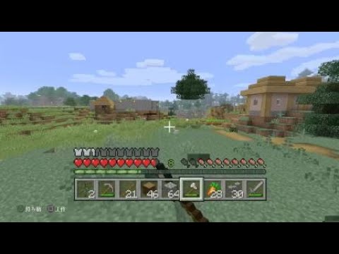 マイクラ 発狂のプロ