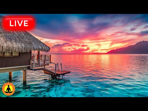 🔴 Relaxing Music 24/7, Stress Relief Music, Sleep Music, Meditation Music, Study, Calming Music