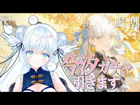 【#鳴潮】カルロッタストーリーと復刻ガチャ「今汐」を引きたい！【初見さん大歓迎/Vtuber】#鳴潮RALLY ＃２４