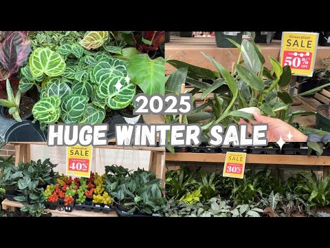 UP TO 70% OFF || First Plant Shopping of 2025