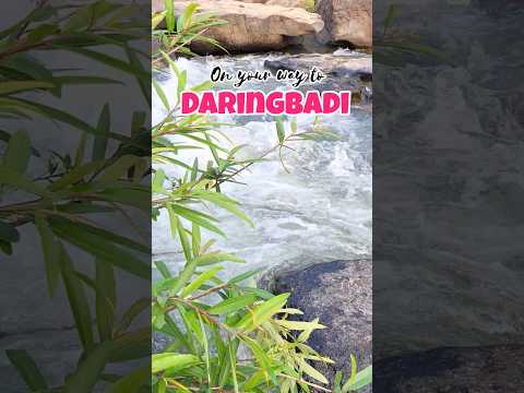 Daringbadi || উড়িষ্যার কাশ্মীর ||place to visit #shorts #bengalitravelvlog #travellingbetween