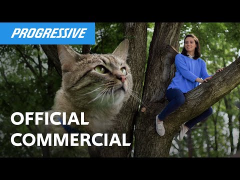 Who's A Good Owner? | Cat | Progressive Insurance Commercial