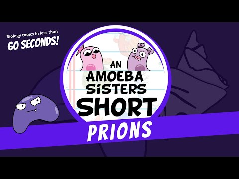 Prions - Amoeba Sisters #Shorts