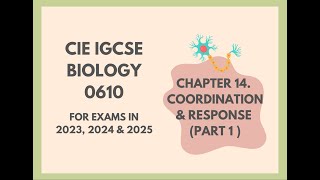 14. Coordination and response(Part 1)(Cambridge IGCSE Biology 0610 for exams in 2023, 2024 and 2025)