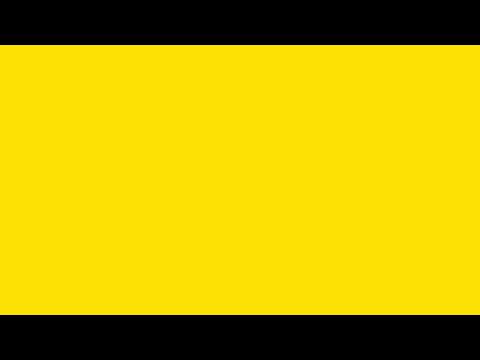 Bumblebee Yellow Screen (live 05-02-2020)