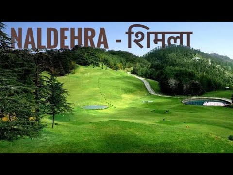 Naldehra and Kufri - Most Beautiful Tourist Places to Visit in Shimla, Himachal Pradesh