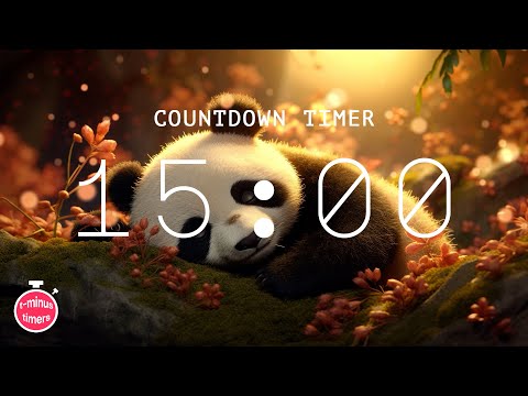 15 minute timer with music for classroom (chill, relaxing)