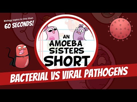 Bacterial vs. Viral Pathogens - Amoeba Sisters #Shorts