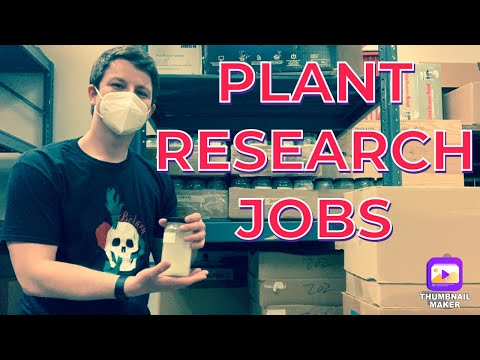 Botany Jobs in the Lab and Greenhouse (Lab Jobs & Plant Research)