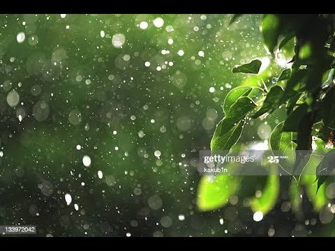 Rain WhatsApp Status | Barish Status | Romantic heart touching music