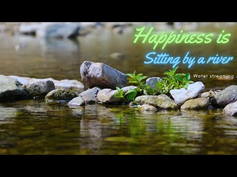 Begin Your Day with POSITIVE ENERGY • RELAXING RIVER SOUNDS with Melodious PIANO MUSIC • #relaxing