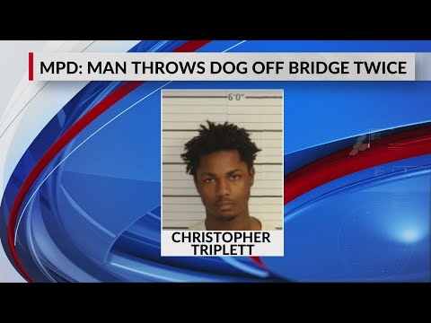 Arrest made in case of dog thrown off bridge