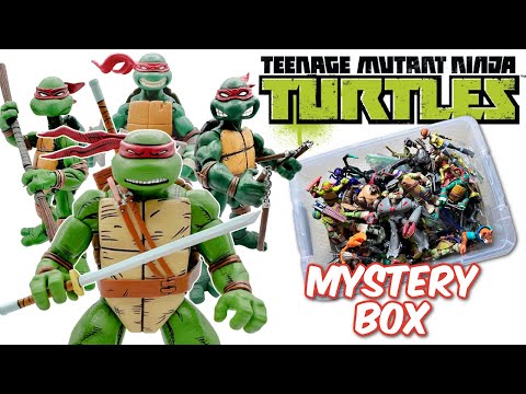 TEENAGE MUTANT NINJA TURTLES Mystery Box!! - MUTANT MAYHEM - TMNT