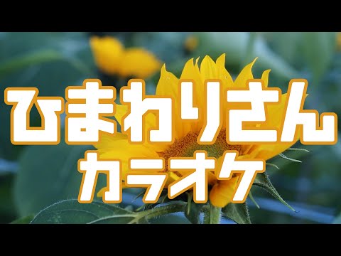 ひまわりさん【カラオケ】