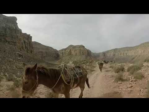 Hiking to Havasu Falls