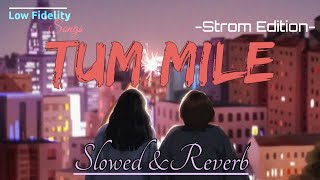 Tum Mile [ Slowed + Reverb ] Emraan Hashmi | Low Fidelity Songs | Javed Ali |