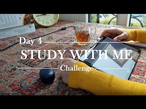 Day 4 | STUDY WITH ME 📝 / 10 Days Challenge / NO Music / Background Noise