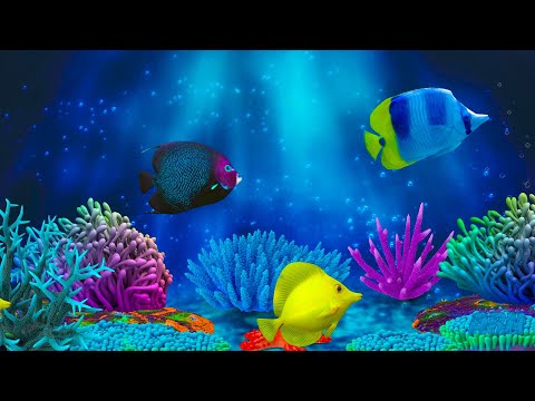 Baby Lullaby. Soothing fishes.Calming Undersea Animation. Aquarium 🐟 💤