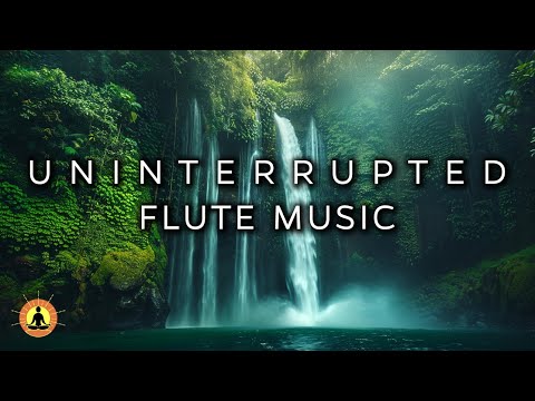 6 HOUR | Magical Forest Music: 432Hz Healing Frequency, Flute Meditation, Nature Ambient Music ☯3812