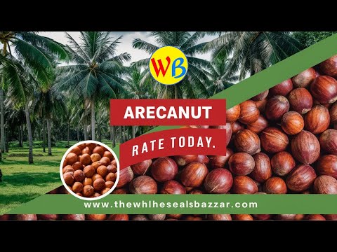 Arecanut Price Today: ಅಡಿಕೆ ಧಾರಣೆ 2024  ಇವತ್ತು ಯಾವ್ಯಾವ ಅಡಿಕೆಗೆ ಎಷ್ಟಿದೆ ರೇಟ್? #rashi #shivamogga