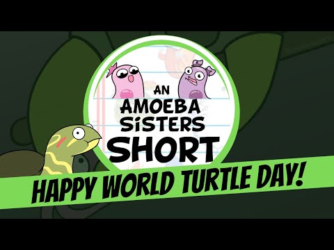 Happy World Turtle Day 🐢  - Amoeba Sisters #Shorts