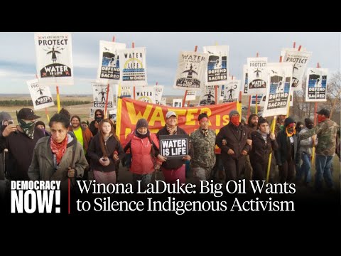 Winona LaDuke: DAPL Pipeline Lawsuit Against Greenpeace Aims to Silence Indigenous Protests, Too