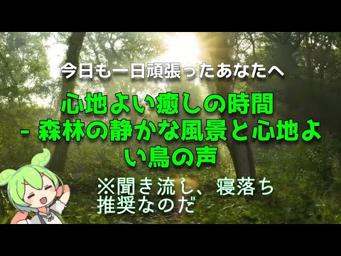 心地よい癒しの時間 - 森林の静かな風景と心地よい鳥の声#VOICEVOX:ずんだもん