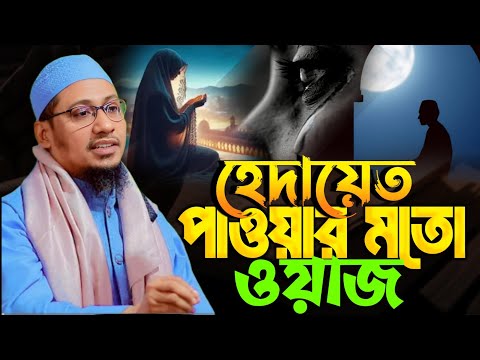 হেদায়েত পাওয়ার মতো ওয়াজ!বার-বার শুনতে মন চাইবে। মাওলানা আনিসুর রহমান আশরাফী New Waz Anisur Rahman