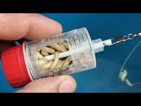 The best fishing tackle for the larvae feeder