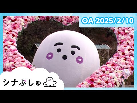 【赤ちゃんが喜ぶ】シナぷしゅ公式25/02/10│赤ちゃんが泣き止む・知育の動画