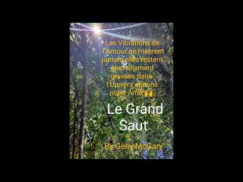 Le Grand Saut by Geny McGary label Geny'sArt musique copyriht